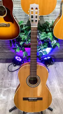 La Patrie Guitars - LP0340 Etude Nylon Guitar 2